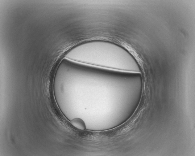 X0000116310201200911301043