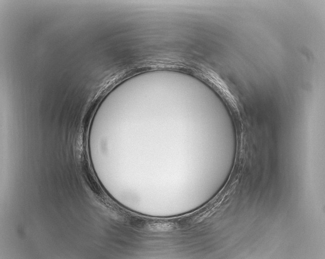 X0000116310202200911301043