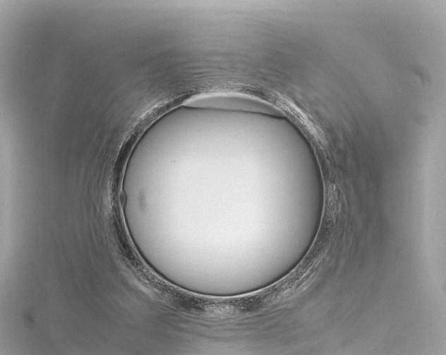 X0000116310203200911301043