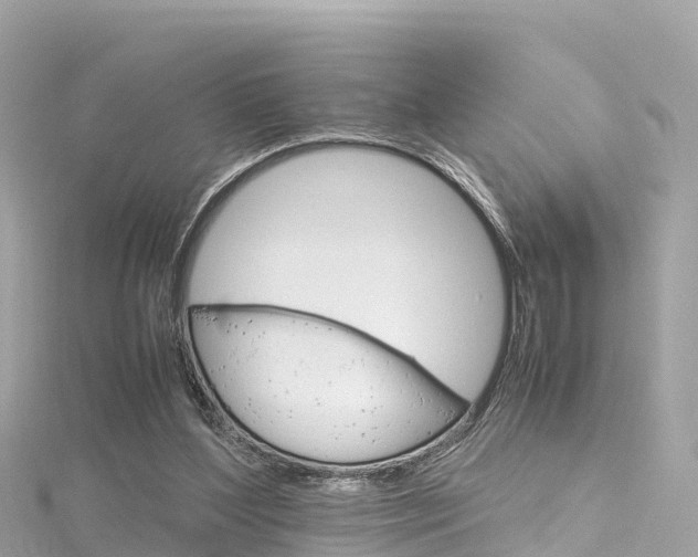 X0000116310204200911301043