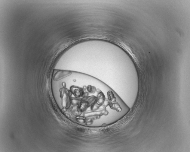 X0000116310205200911301043