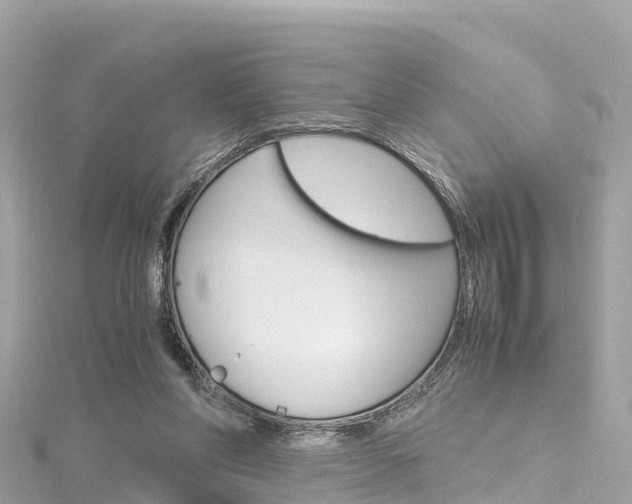 X0000116310206200911301043