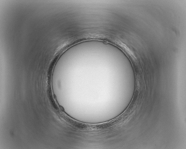 X0000116310207200911301043