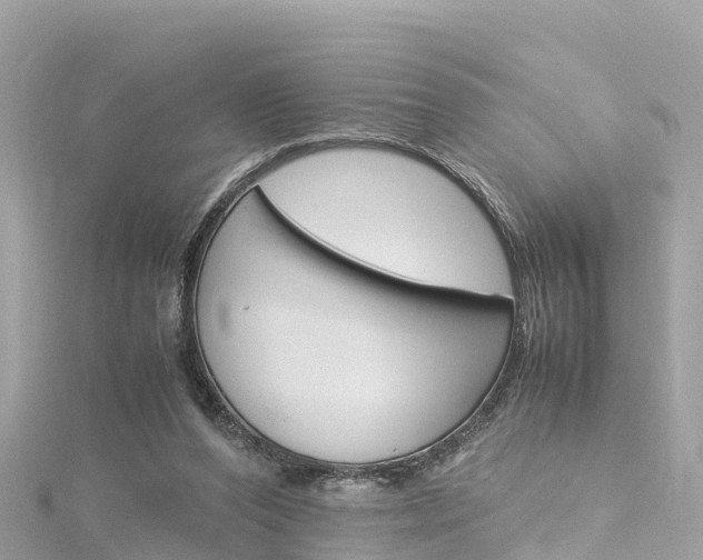 X0000116310208200911301043