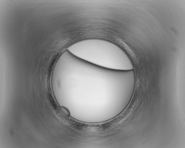 X0000116310209200911301043