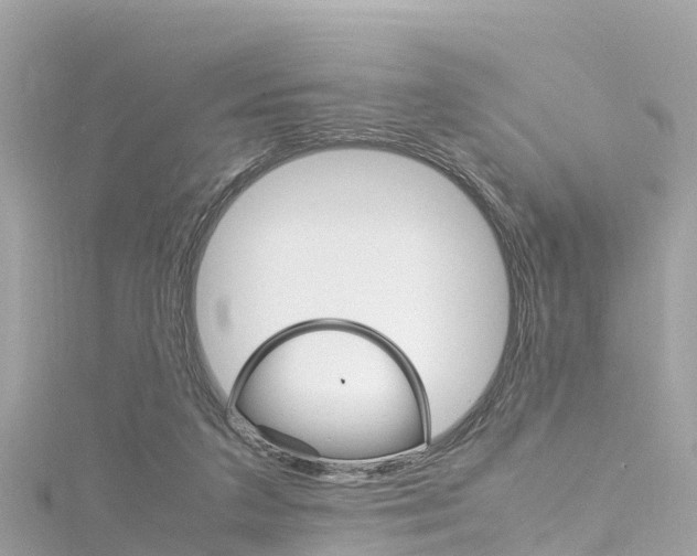 X0000116310211200911301043