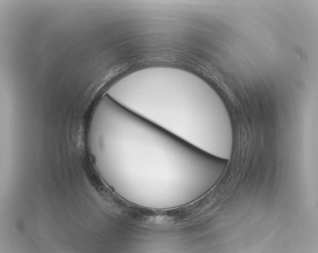 X0000116310212200911301043