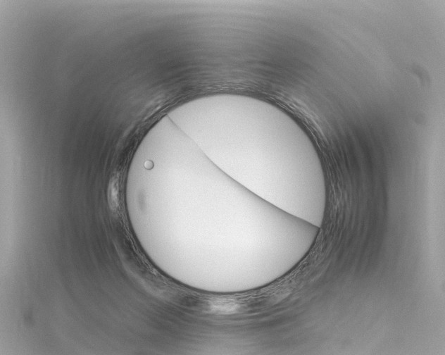 X0000116310214200911301043