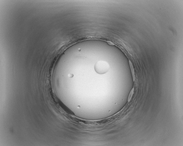 X0000116310215200911301043