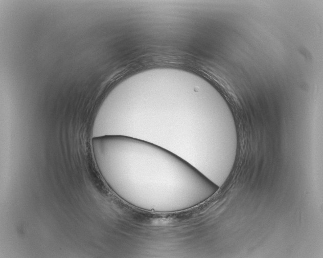 X0000116310216200911301043