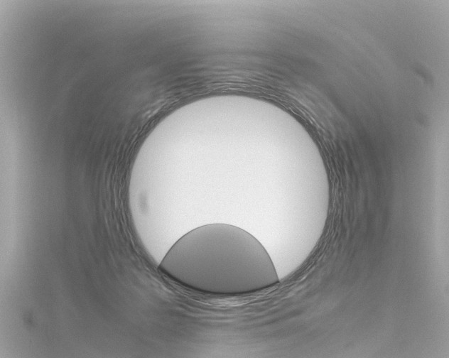 X0000116310219200911301042