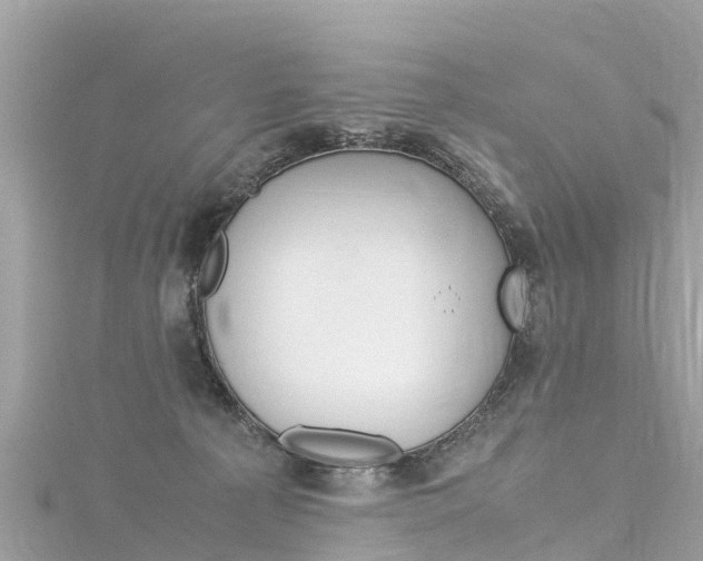 X0000116310225200911301042