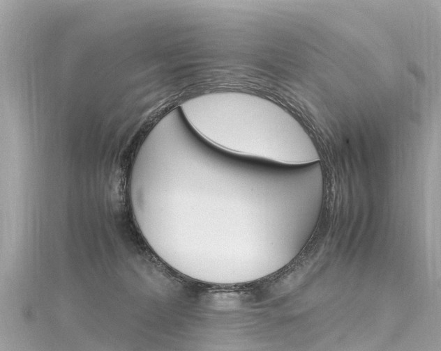 X0000116310228200911301042