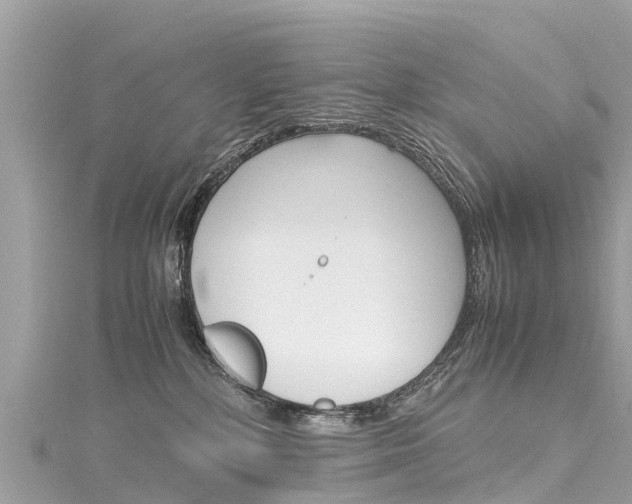 X0000116310232200911301042