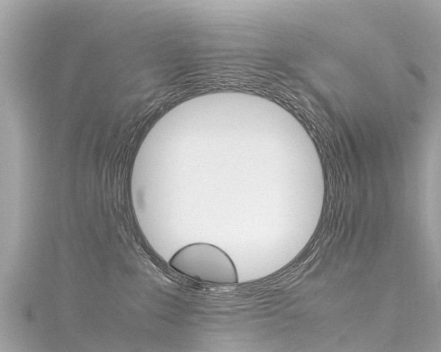 X0000116310235200911301042