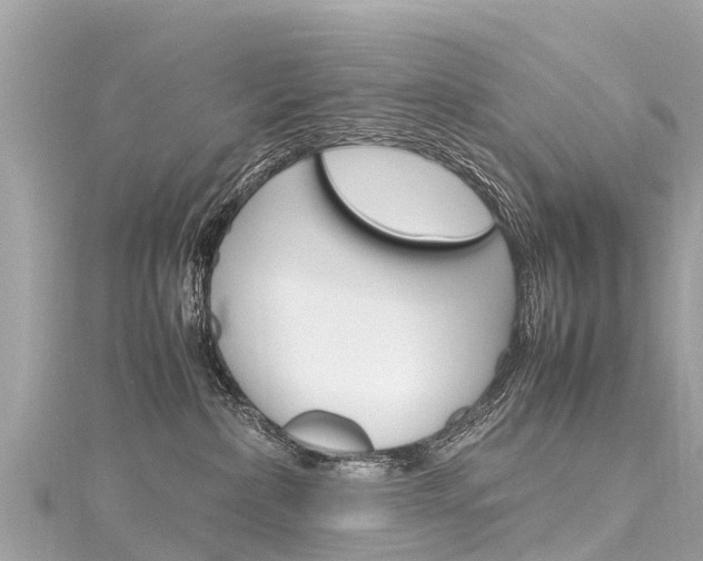 X0000116310236200911301042