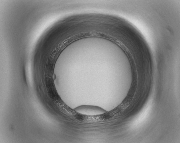 X0000116310239200911301042