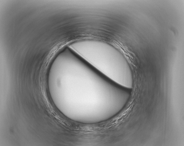 X0000116310241200911301041