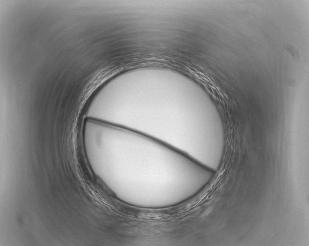 X0000116310242200911301041