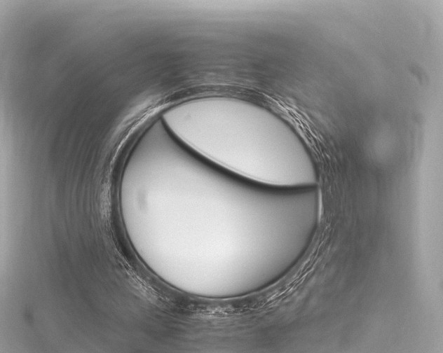 X0000116310243200911301041