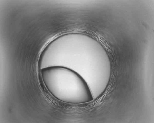 X0000116310244200911301041