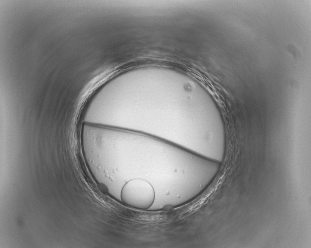 X0000116310245200911301041