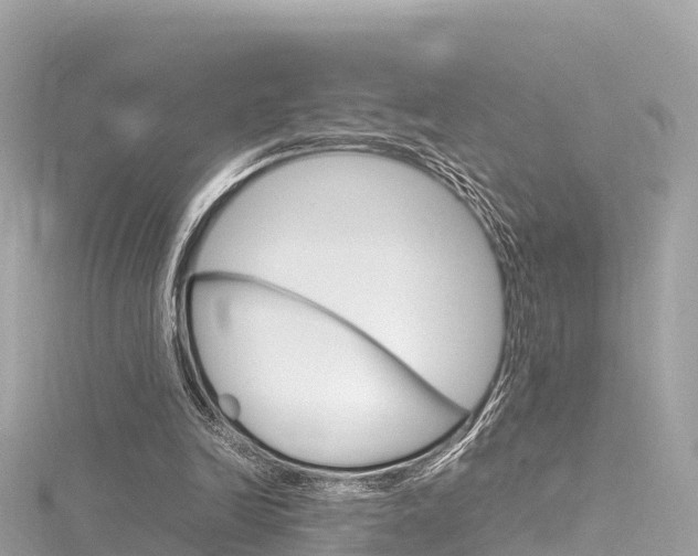 X0000116310246200911301041