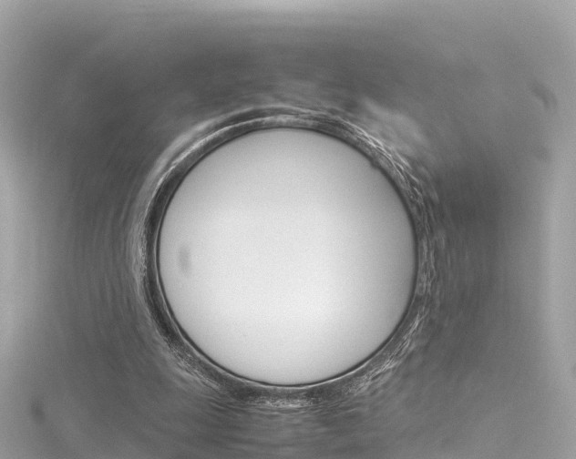 X0000116310247200911301041