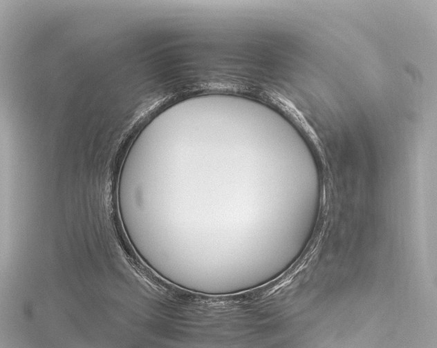 X0000116310249200911301042