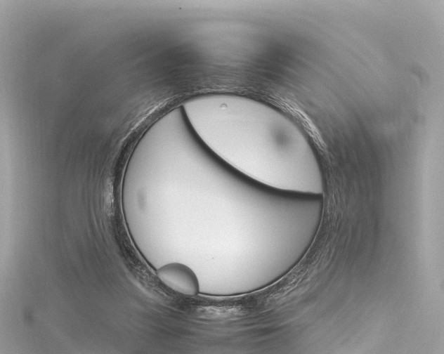 X0000116310251200911301042