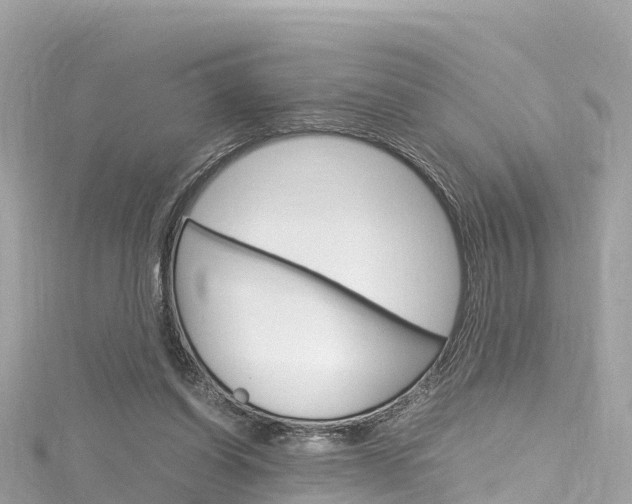 X0000116310254200911301042