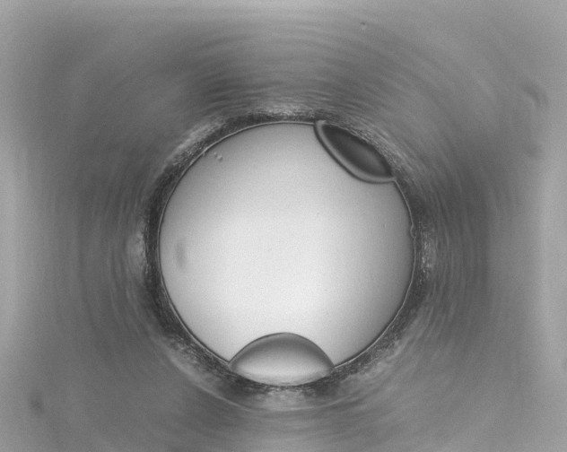 X0000116310256200911301042