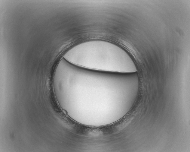 X0000116310258200911301042