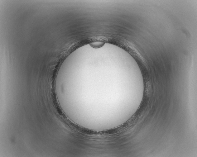 X0000116310259200911301042