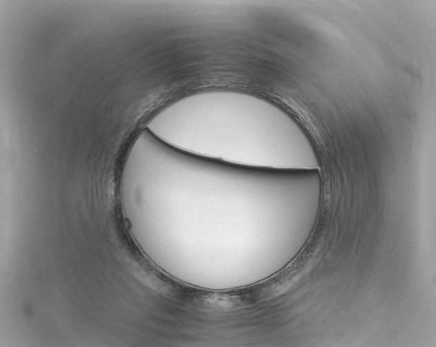 X0000116310261200911301042