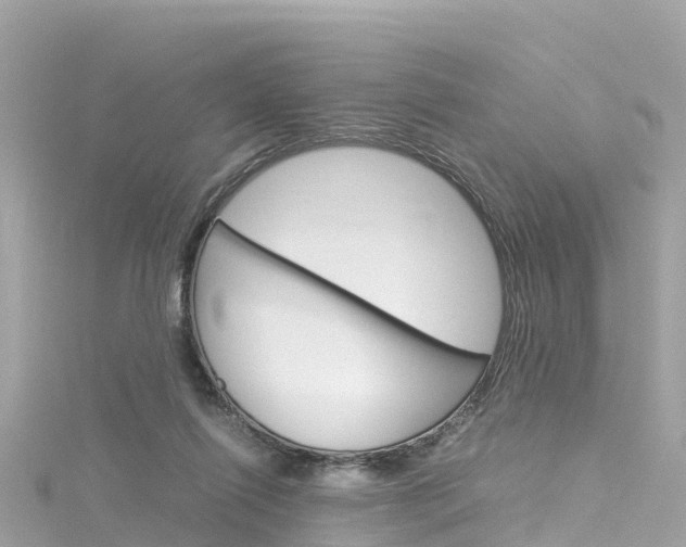 X0000116310262200911301042