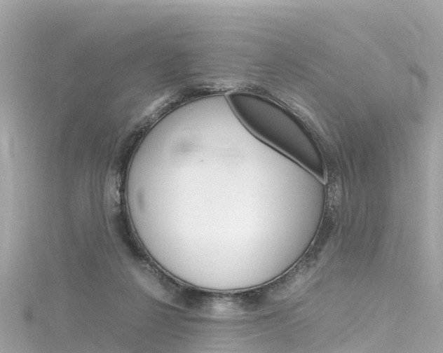 X0000116310264200911301042