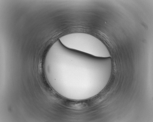 X0000116310267200911301042