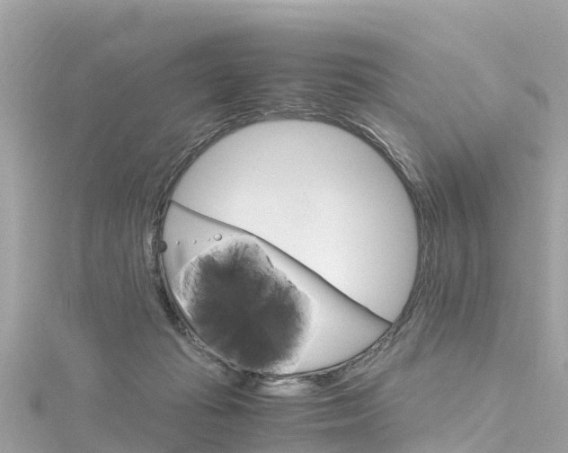 X0000116310269200911301042