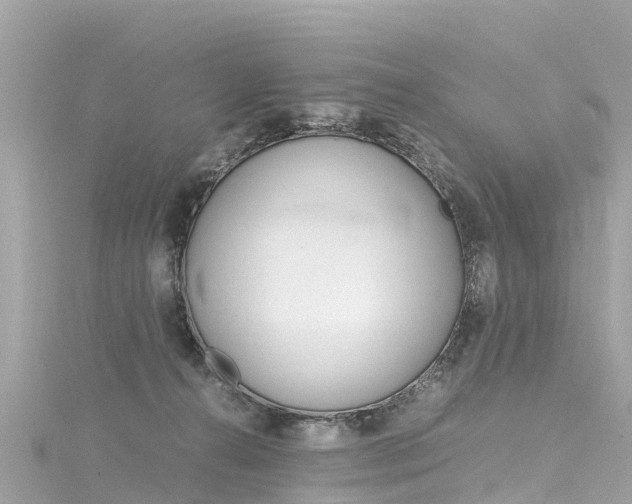 X0000116310272200911301042