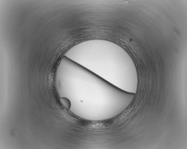 X0000116310278200911301042