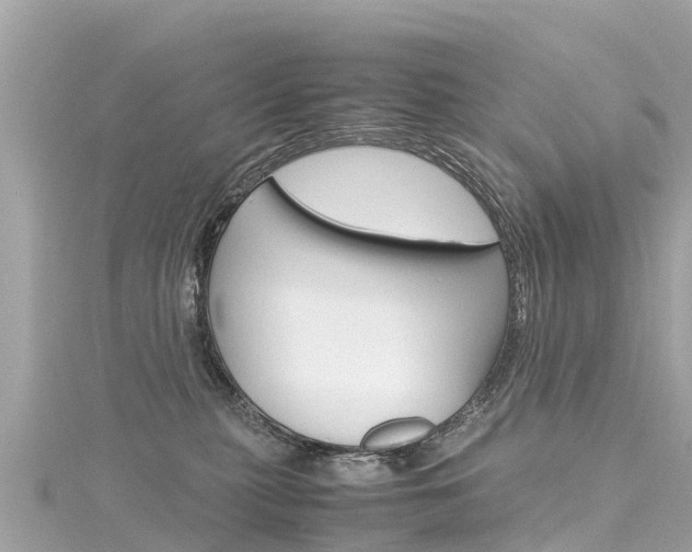 X0000116310279200911301042