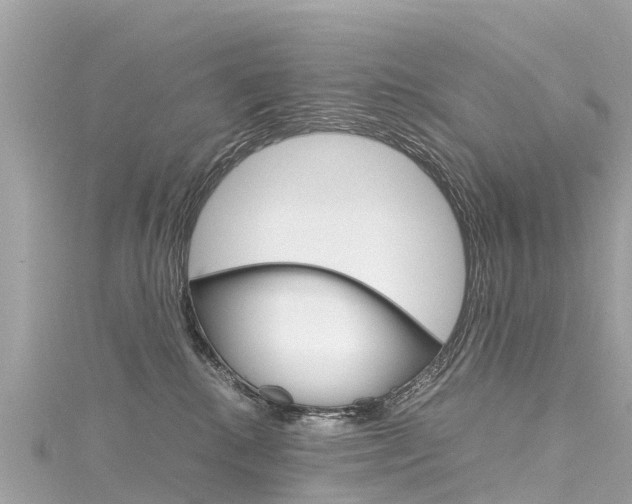 X0000116310280200911301042