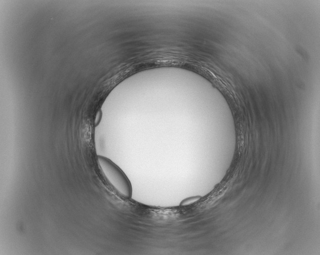 X0000116310281200911301042