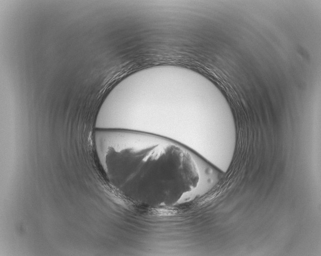 X0000116310286200911301042