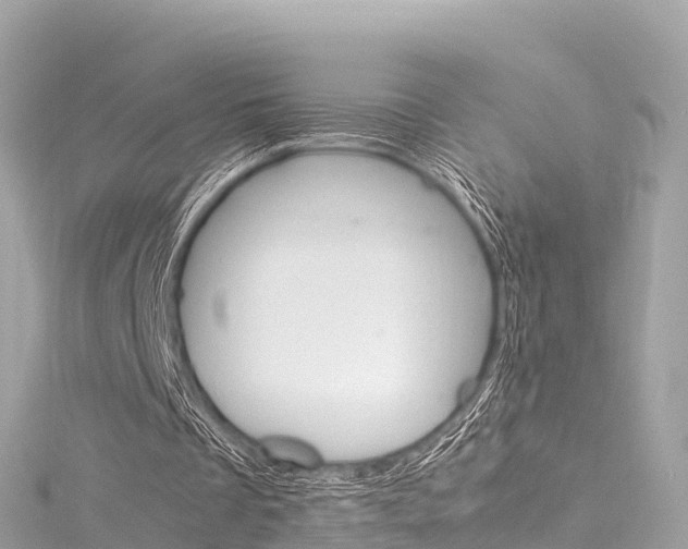 X0000116310289200911301041