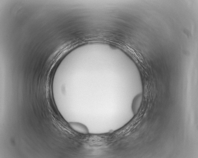 X0000116310290200911301041