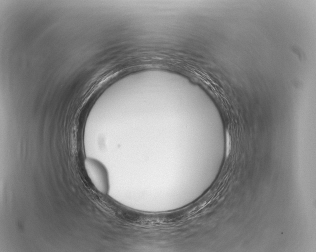 X0000116310291200911301041