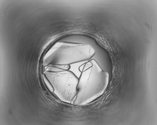 X0000116310292200911301041