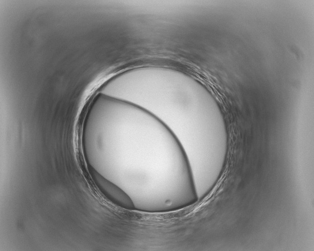 X0000116310294200911301041